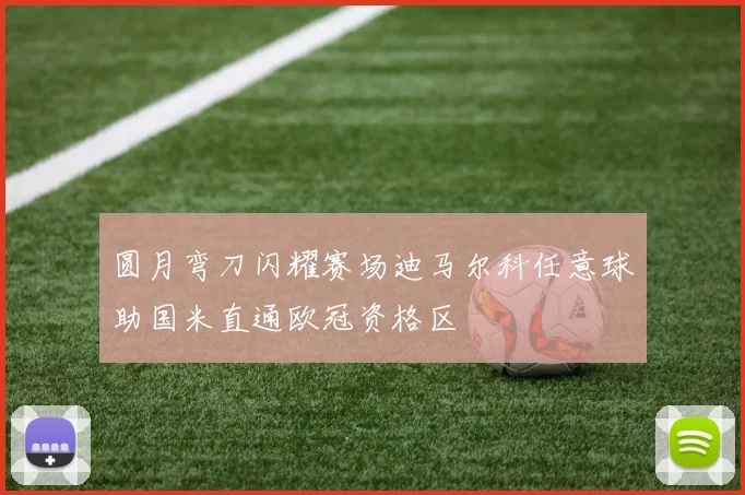 圆月弯刀闪耀赛场迪马尔科任意球助国米直通欧冠资格区